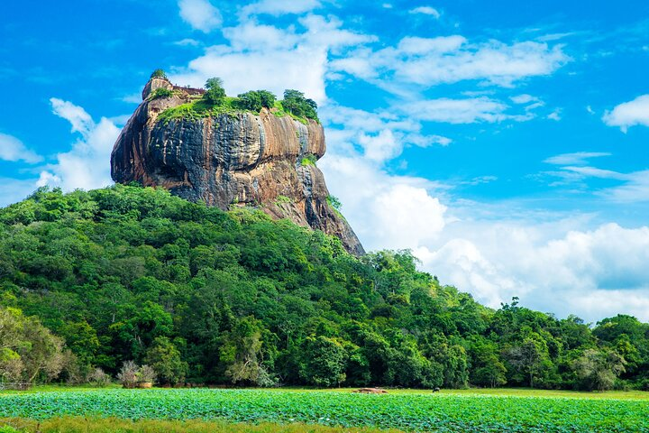 Sigiriya & Dambulla Day Tour - Photo 1 of 8